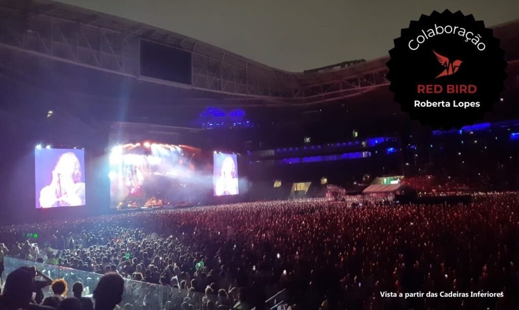 Allianz Park - visão cadeira inferior - São Paulo - Travel2Concert